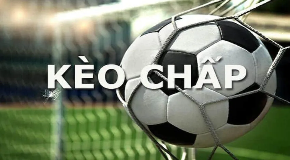 keo chap 383sports 2